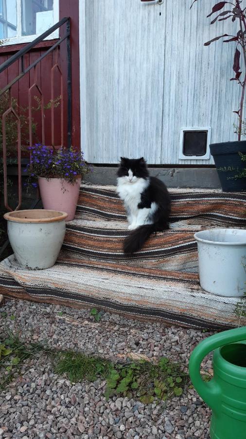 Stuga Asnagard Torsby Luaran gambar