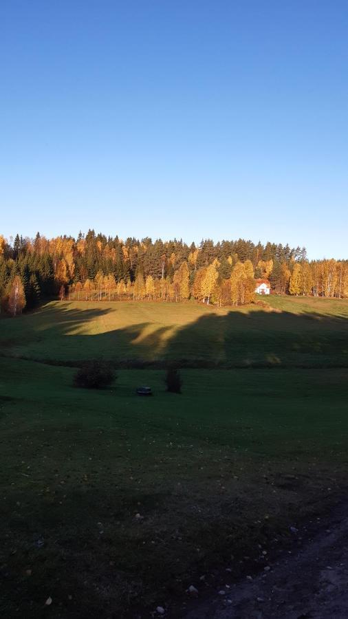 Stuga Asnagard Torsby Luaran gambar